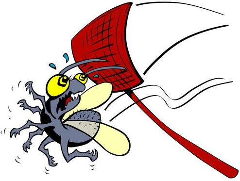 как бороться с мухами