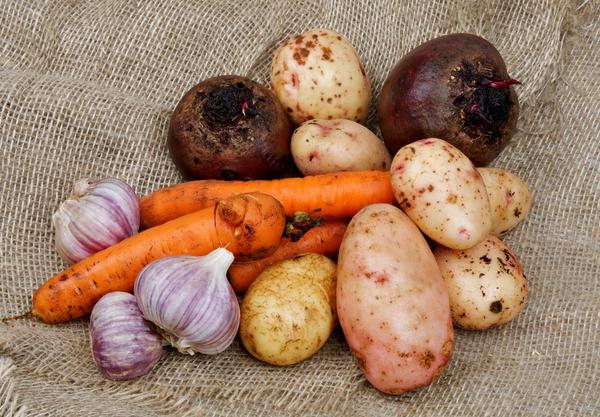 Картофель и другие овощи
