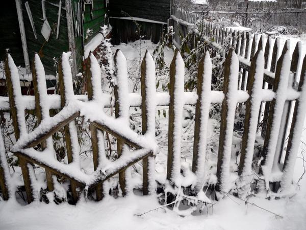 забор в снегу