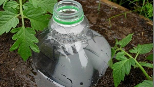 глубокий полив при помощи пластиковых бутылок