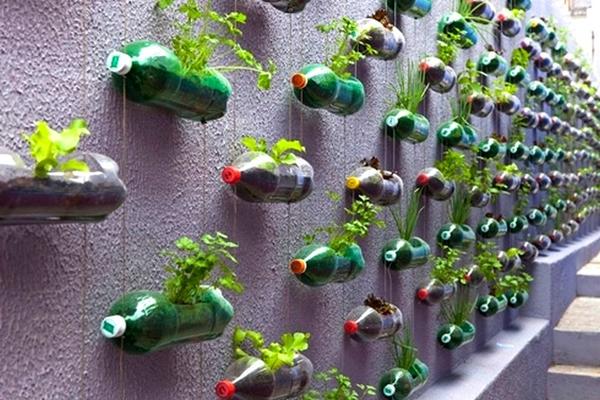 вертикальное озеленение с помощью пластиковых бутылок
