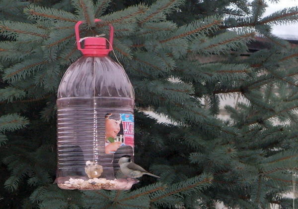 кормушка для птиц из пластиковых бутылок