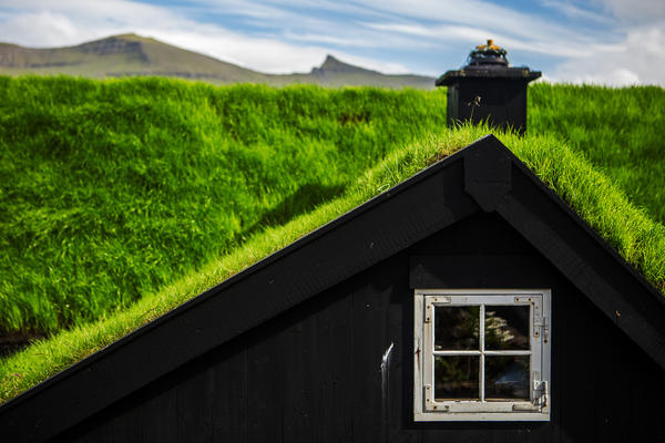 Ландшафтные дизайнеры нашли выход из ситуации и предложили озеленять крыши зданий