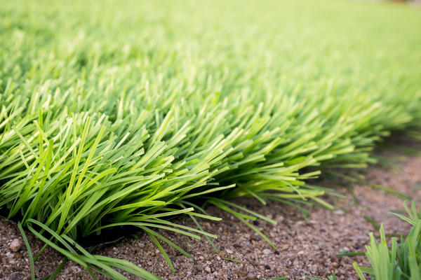 Основа искусственного газона — резиновая крошка плюс песок