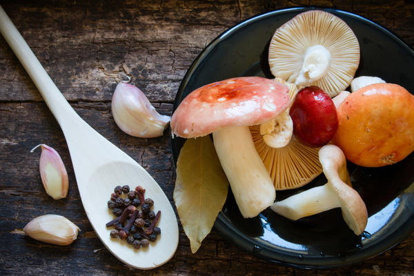Скоростная засолка годится для любых съедобных грибов 