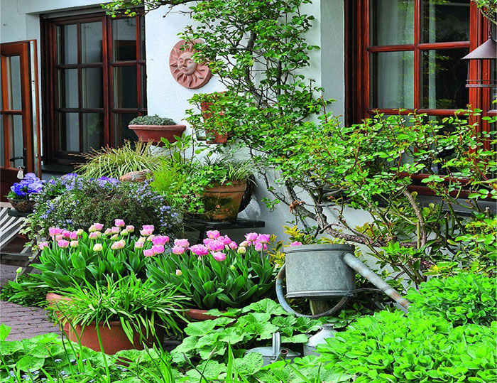 В вашем саду наверняка есть место для изысканных и нежных ранних цветов