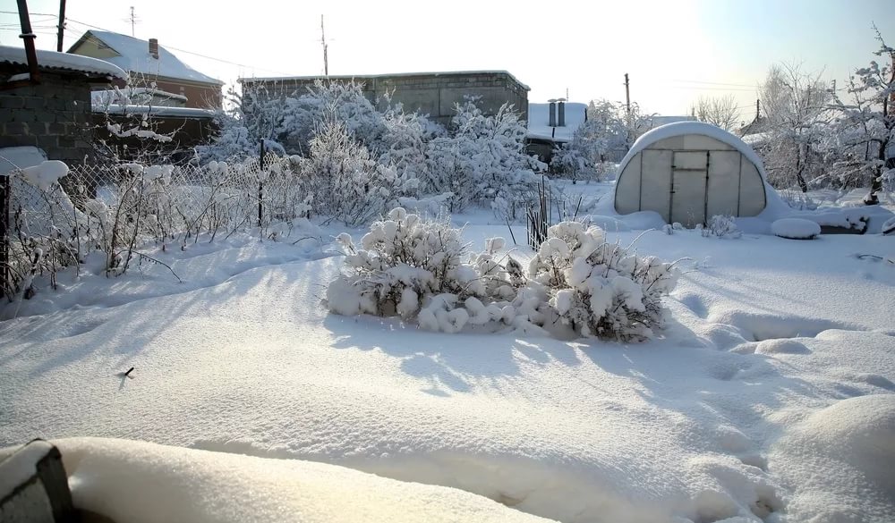 огород в снегу