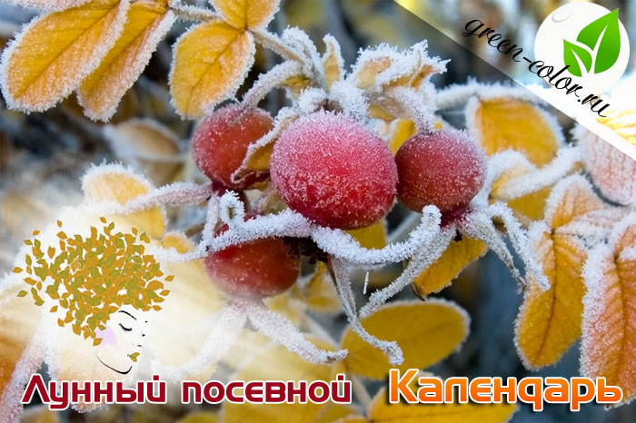 Лунный посевной календарь