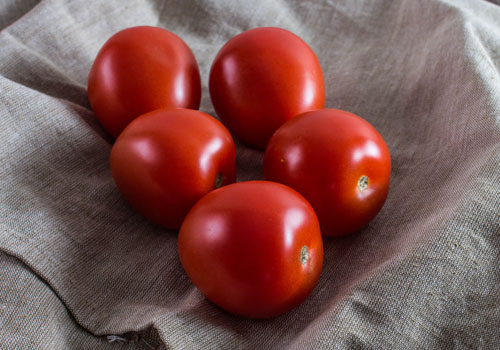 помидоры Т 34