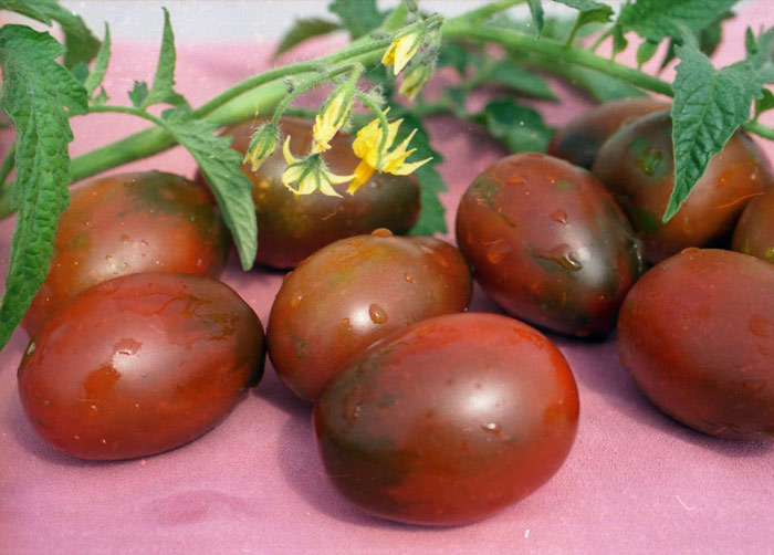 помидоры Де Барао