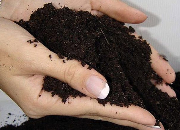 Подготовка почвы для выращивания капусты