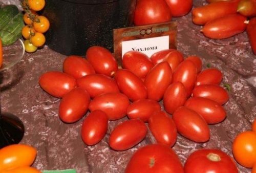томаты хохлома