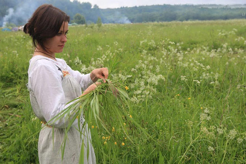 девушка собирает травы