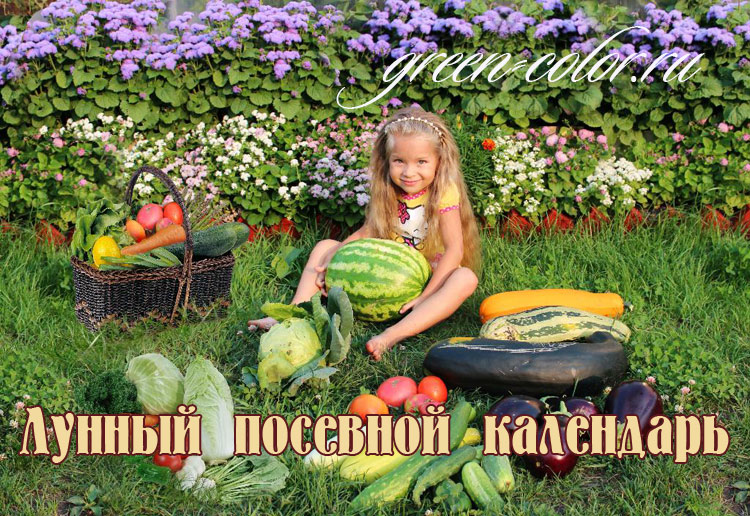 Лунный посевной календарь