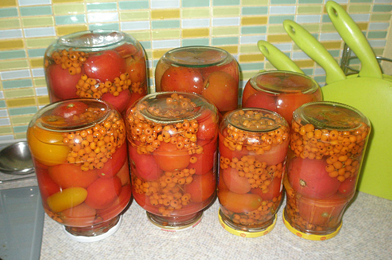 томаты с рябиной